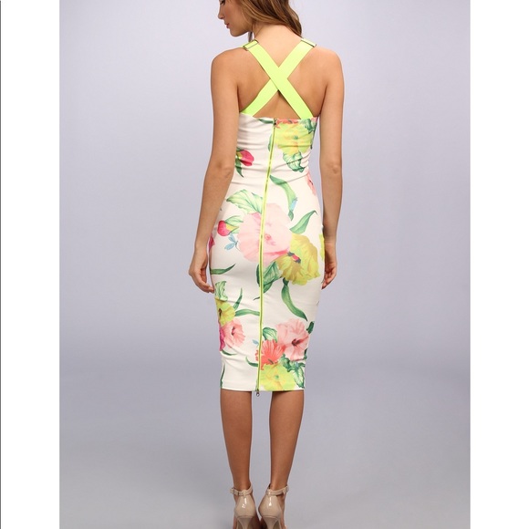 ted baker taylar dress
